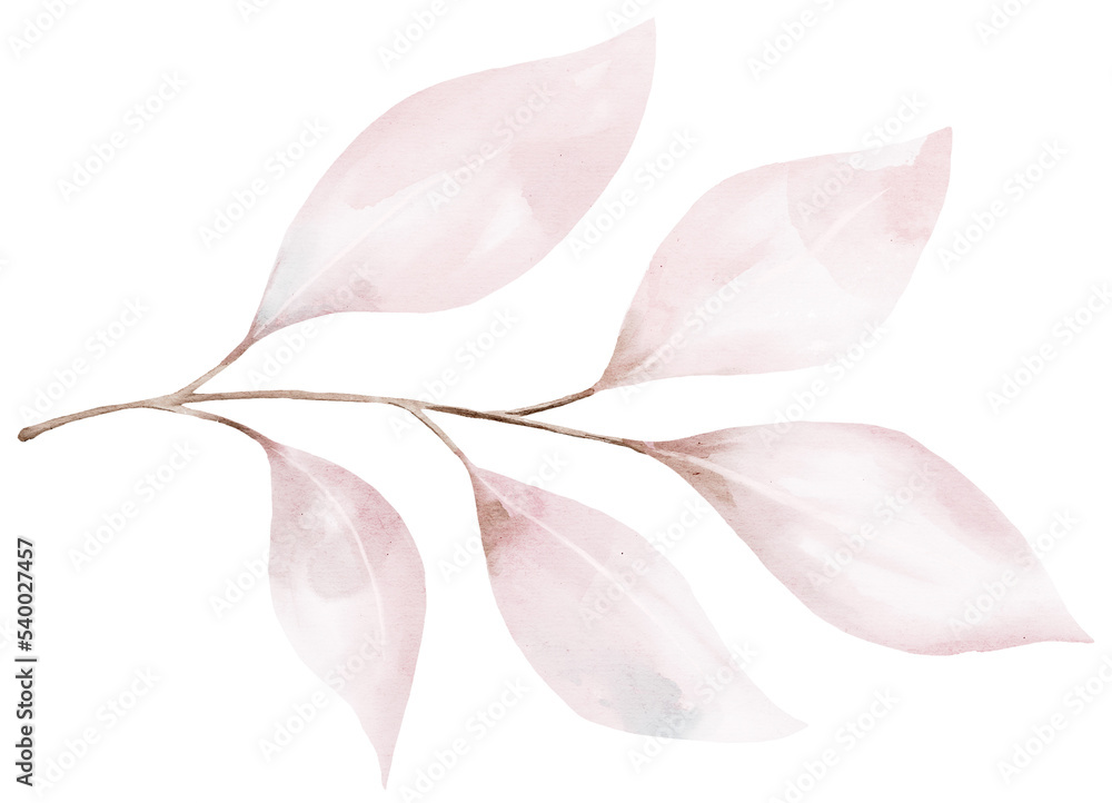 Fototapeta premium Watercolor fall leaves. Autumn branch.