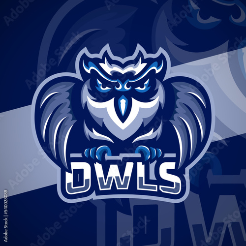 Blue Owl Mascot Esport Logo  — Vector Illustration