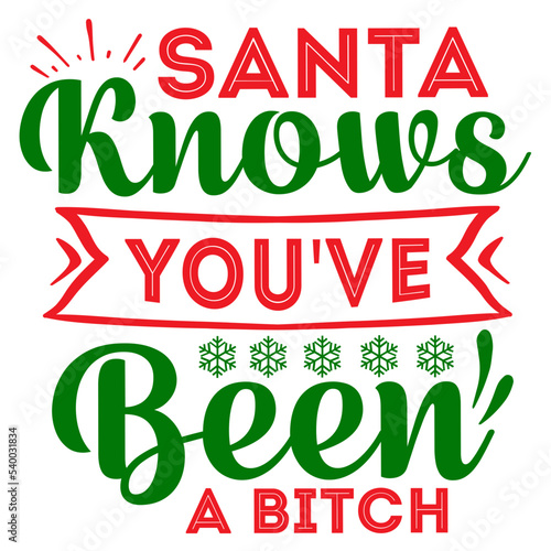 Santa knows you've been a bitch SVG