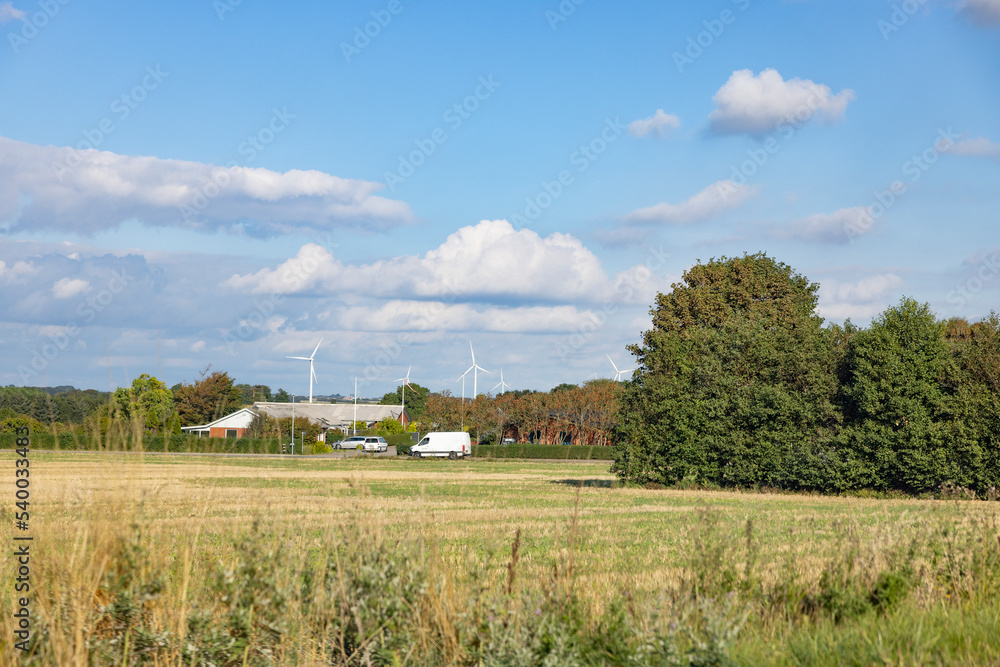 On the country road in the Limfjord area, Denmark, Europe