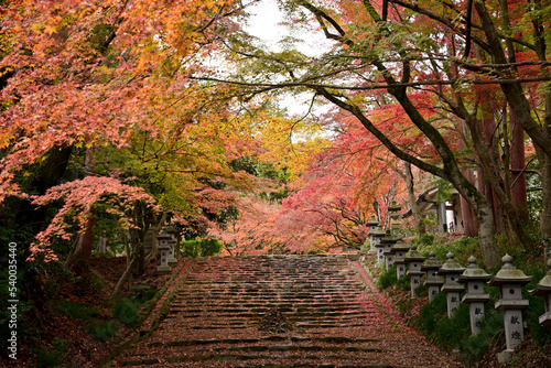 美しい紅葉の石段