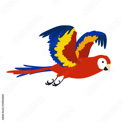 Colorful ara spreading wings vector illustration. Bird flapping wings, flight movements. Red parrot flying in sky isolated on white background. Animal, motion concept