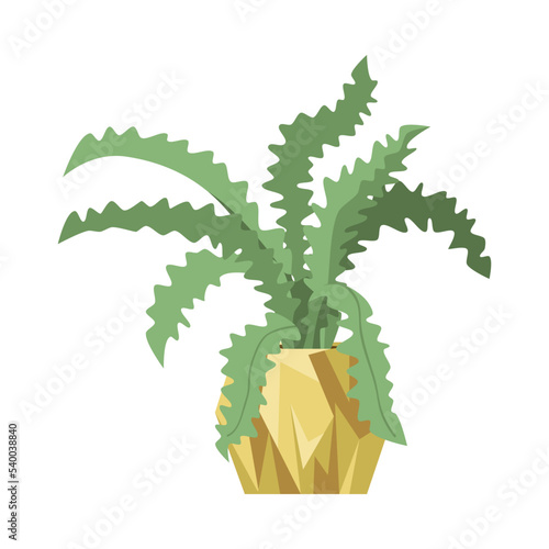 Green fern plant in flowerpot flat vector illustration. Indoor houseplant for home or office, flower with big green leaves in pot isolated on white background. Nature, urban jungle concept