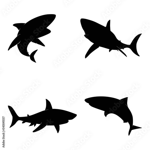 Vector illustration of a black silhouette shark. Isolated white background