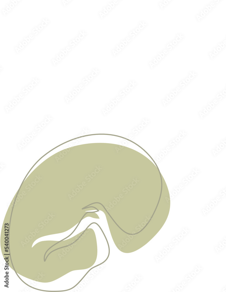 Liquid and fluid shape Green color Liquid and fluid shape Green color