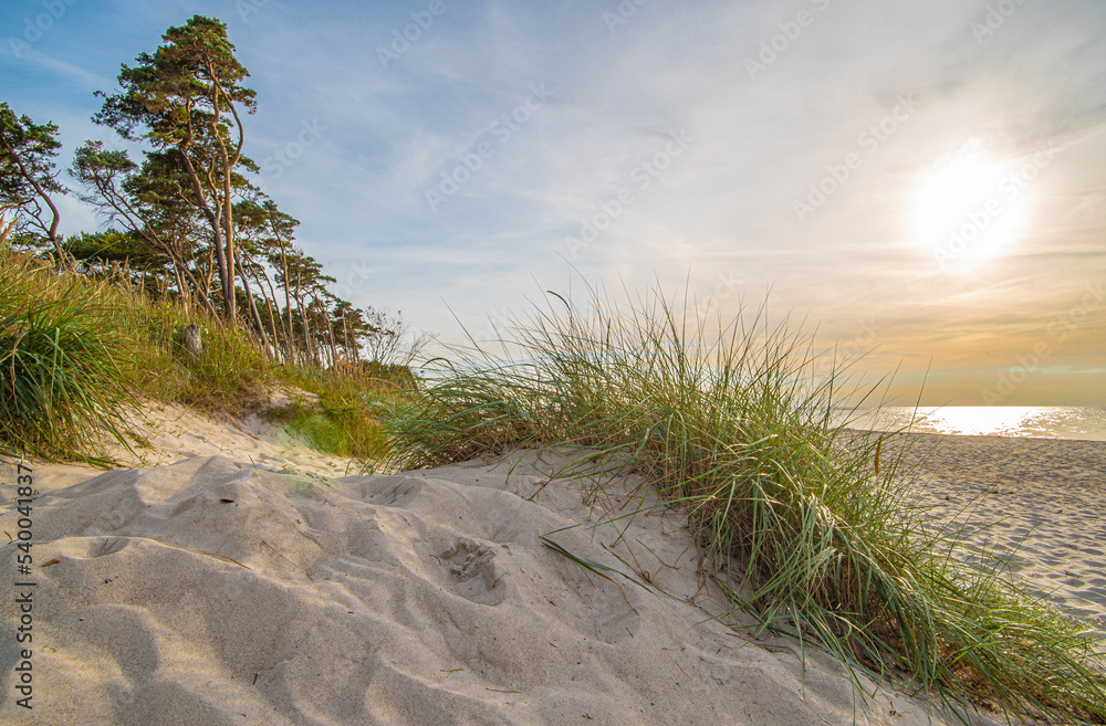 Fischland Darß Zingst - Weststrand bei Sonnenuntergang Fischland Darß Zingst - Weststrand bei Sonnenuntergang
