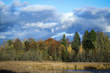 Forest trees autumn scene over the meadow with blue bright sky with white and grey heavy clouds