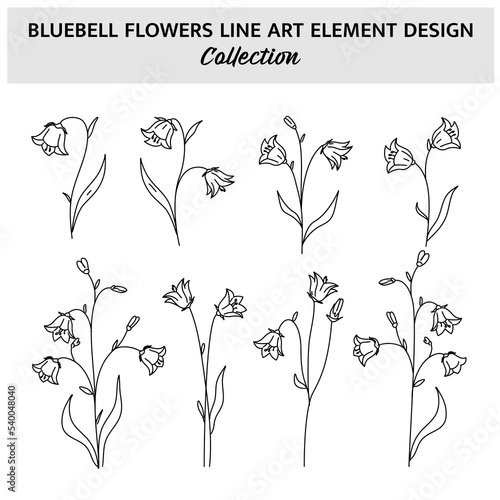Minimalist Bluebell Flower Hand Drawn Vector Illustration Set. Flowers Sketch Drawing on White Background.