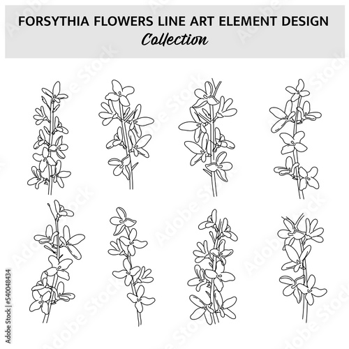 Photographie Minimalist Forsythia Flower Hand Drawn Vector Illustration Set