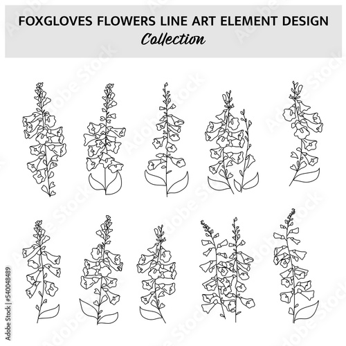 Minimalist Foxgloves Flower Hand Drawn Vector Illustration Set. Flowers Sketch Drawing on White Background.