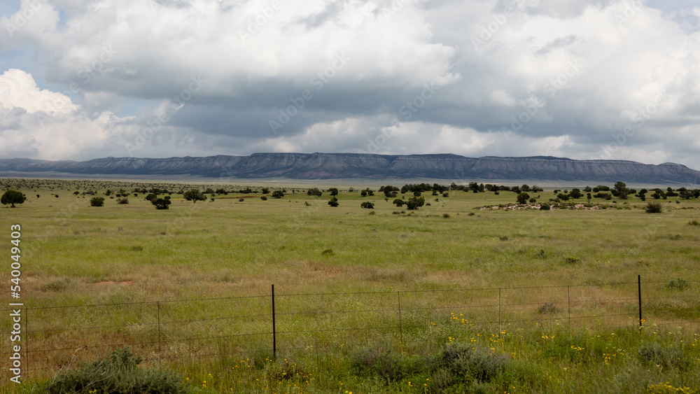 Beautiful natural landscape with grass and trees on the hills along route 66 on the way to Seligman