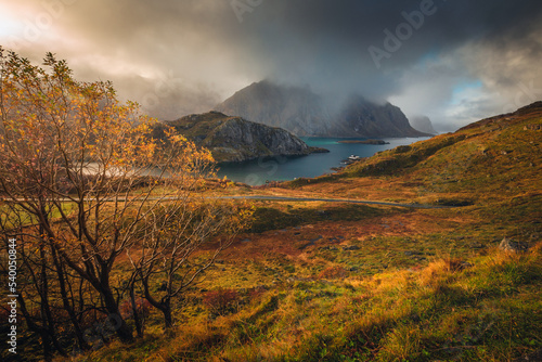 Beautiful and colorful autumn in the Lofoten archipelago in Norway. Breathtaking landscapes show the power of nature.