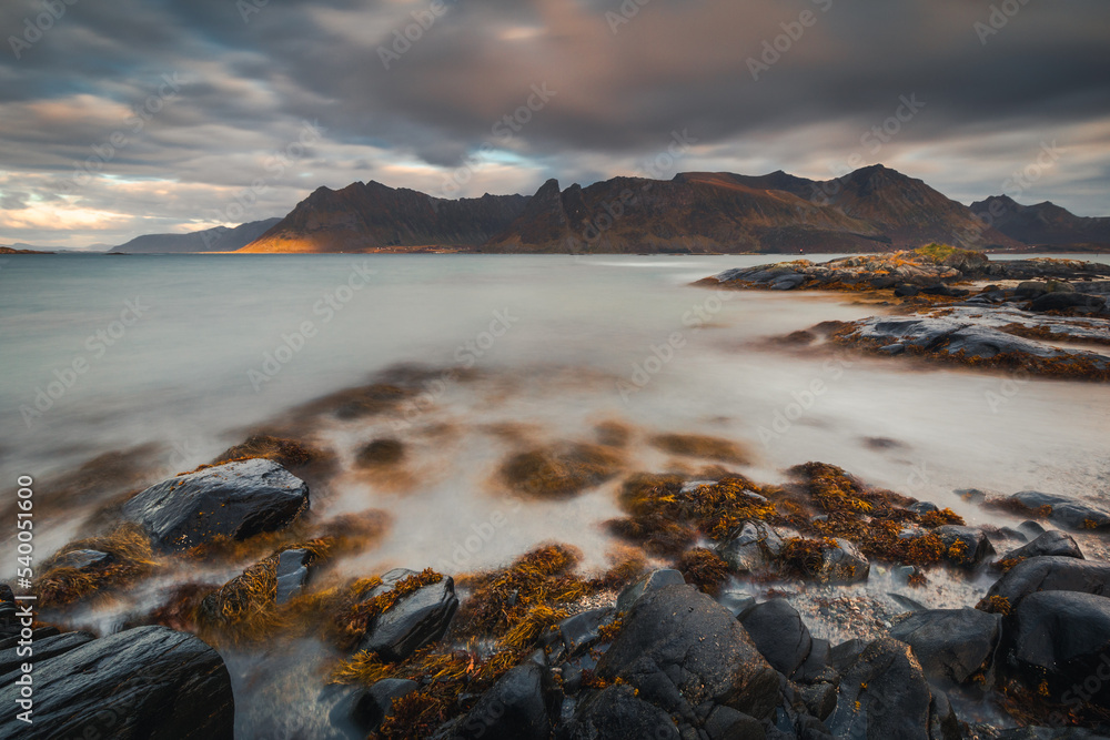 Obraz premium Beautiful and atmospheric beaches in the Lofoten archipelago in Northern Norway. Photo taken in the fall.