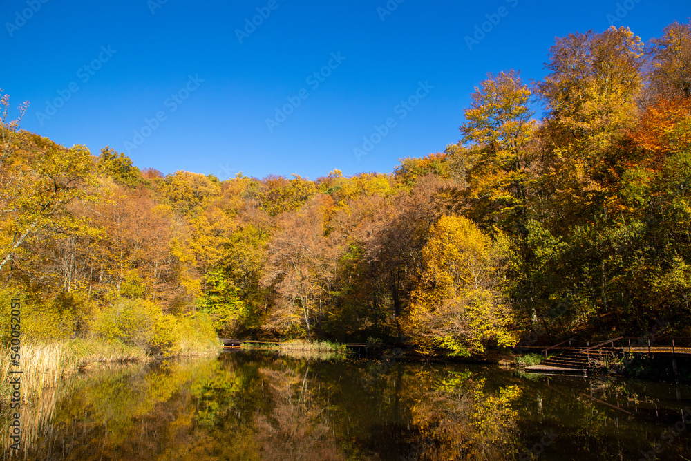 Autumn landscape from the resort of Sovata - Romania