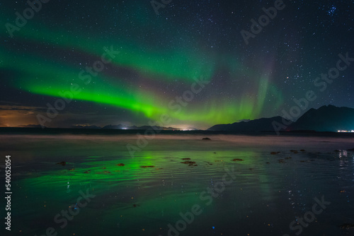 The northern lights captured in the Lofoten Islands in northern Norway. © PawelUchorczak