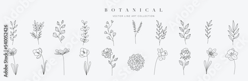 Set botanical hand drawn vector element. Collection of foliage, leaf branch, floral, flowers, roses in line art. Minimal style blossom illustration design for logo, wedding, invitation, decor.