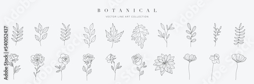 Photographie Set botanical hand drawn vector element