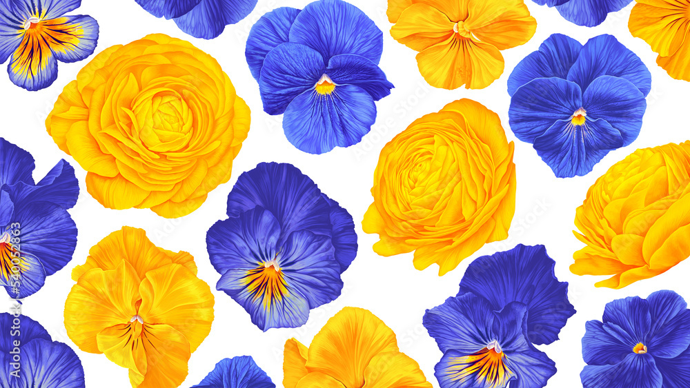 Floral background in yellow and blue tones. Realistic plants, drawn by hand. Violas, pansies, buttercups on white background. Botanical background for wallpaper on your computer, tablet, clothing desi Floral background in yellow and blue tones. Realistic plants, drawn by hand. Violas, pansies, buttercups on white background. Botanical background for wallpaper on your computer, tablet, clothing desi