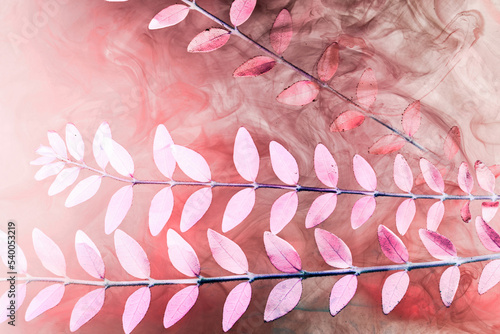 Abstract pink background with leaves and paints in water. Backdrop for perfume, cosmetic products