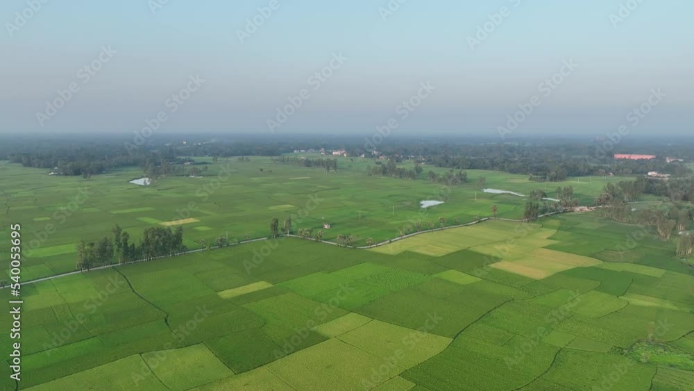 view of fields - road in the field - beautiful bangladesh landscape aerial smooth video footage view of fields - road in the field - beautiful bangladesh landscape aerial smooth video footage