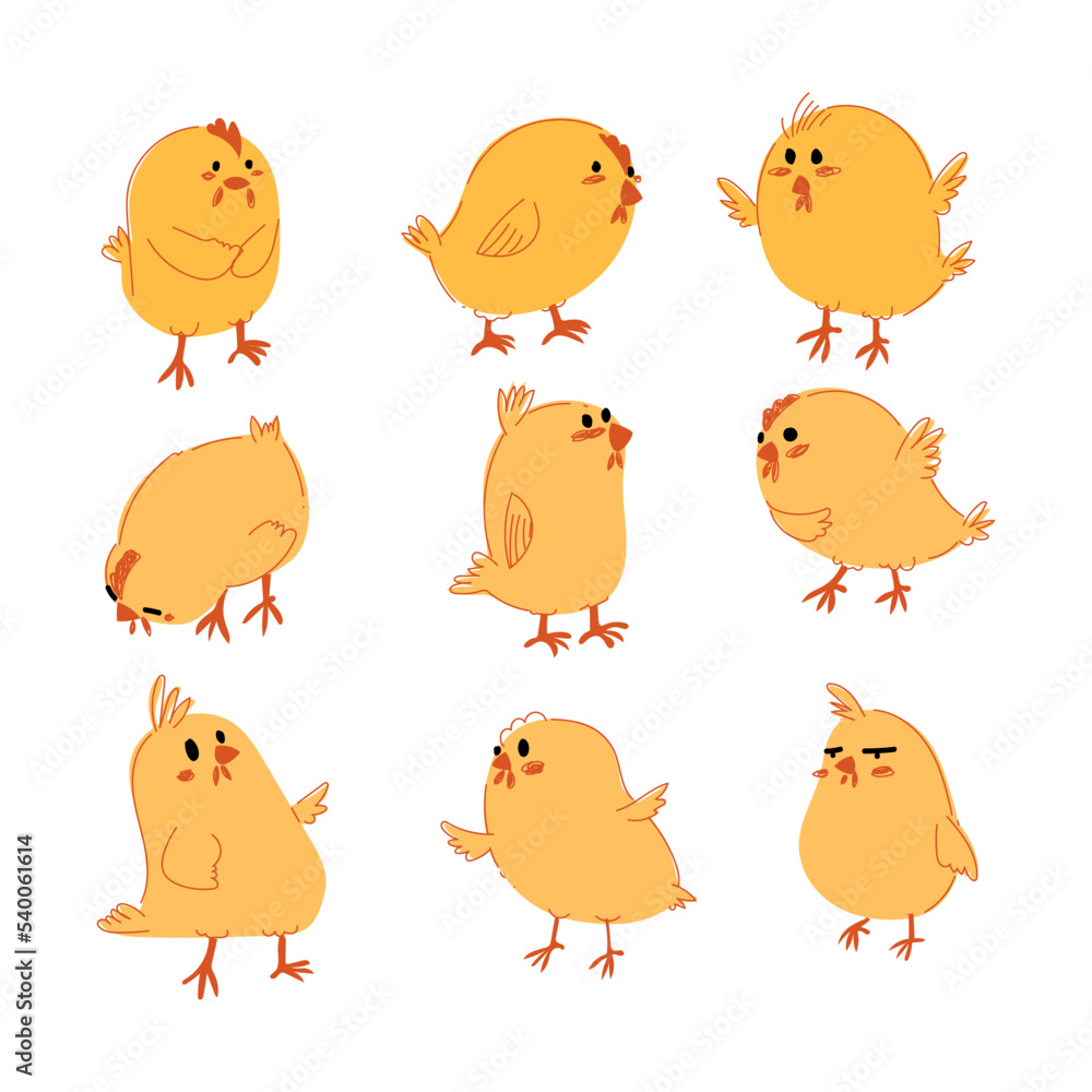 Set of chicken, hen, little chick sketch hand drawn icon character vector illustration. Set of chicken, hen, little chick sketch hand drawn icon character vector illustration.