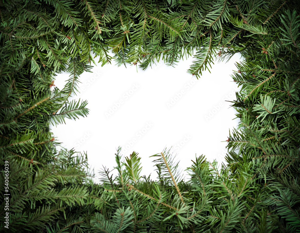 Christmas frame with fir tree branches