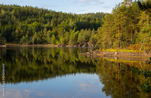 Norway. Forested shores of a mountain lake