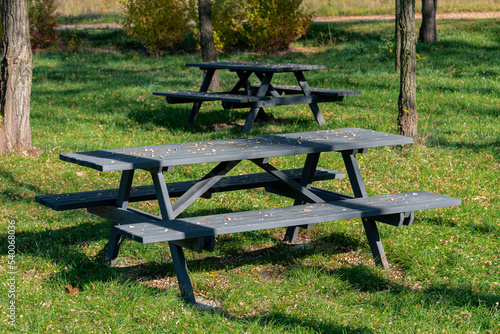 the wooden picnic bench in the autumn park