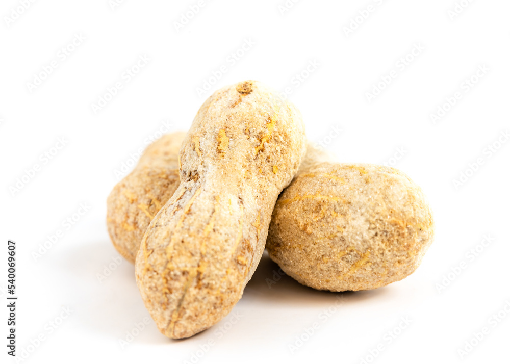 Two peanuts on white background Two peanuts on white background