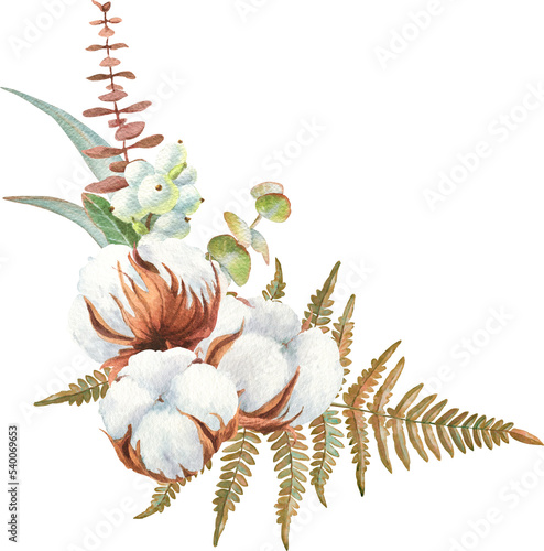 Compositions with cotton and eucalyptus: bouquets, frames and seamless pattern, botanical illustration