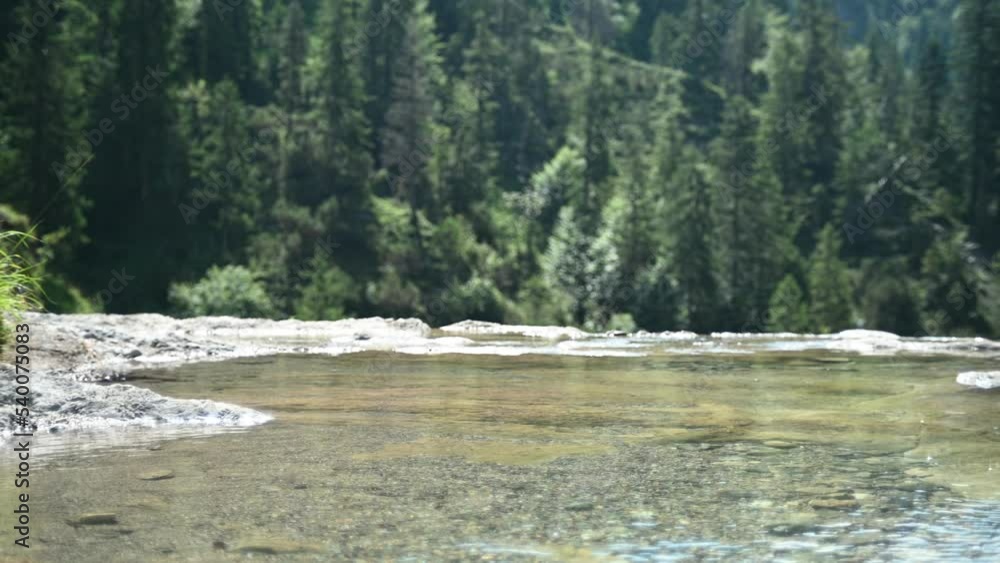 A mountain stream in front of a forest (bokeh) A mountain stream in front of a forest (bokeh)