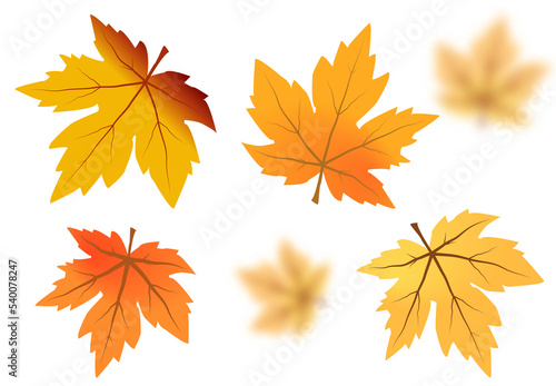 Autumn maple leaves PNG. on isolated transparent background. Abstract wallpaper design with maple leaves, line art.
