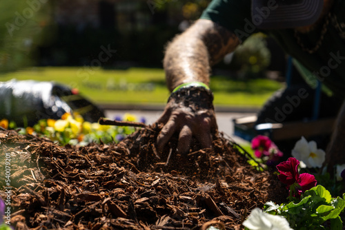 Wallpaper Mural Lawn & Landscaping with Flowers and Plants Torontodigital.ca