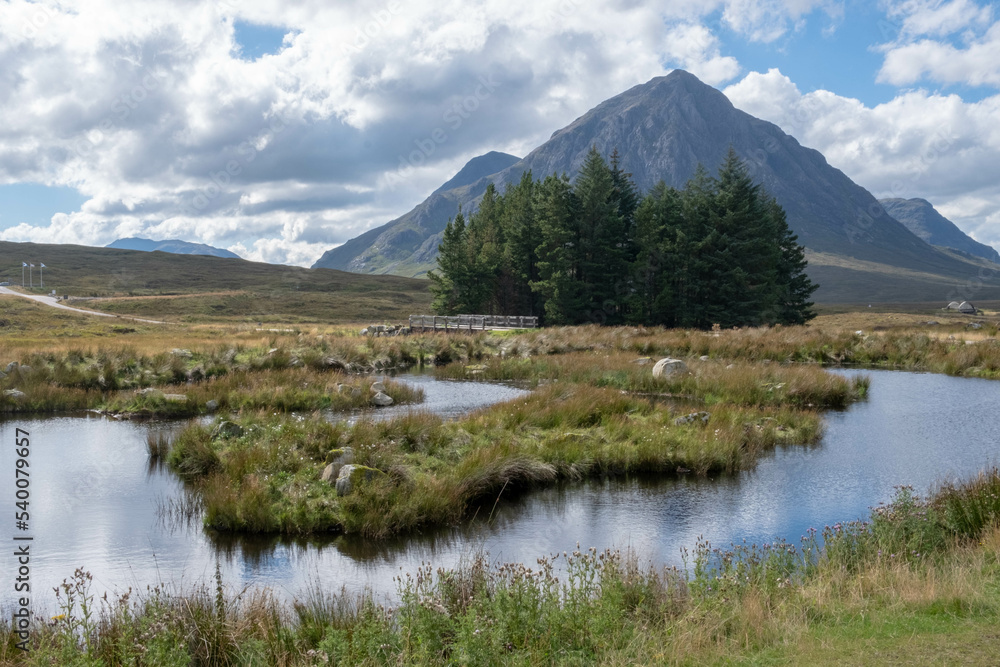 A bog, coniferous trees, and highland mountain landscape. 