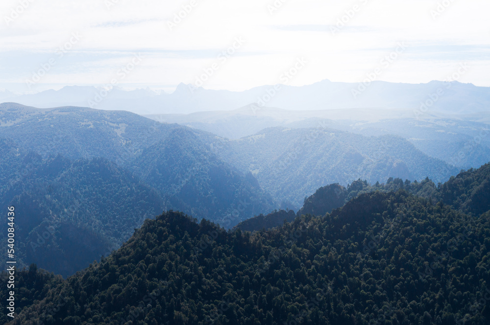 blue mountains in fog. forest on mountain slopes blue mountains in fog. forest on mountain slopes