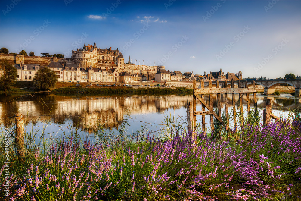The City and Castle of Amboise by the River Loire, France