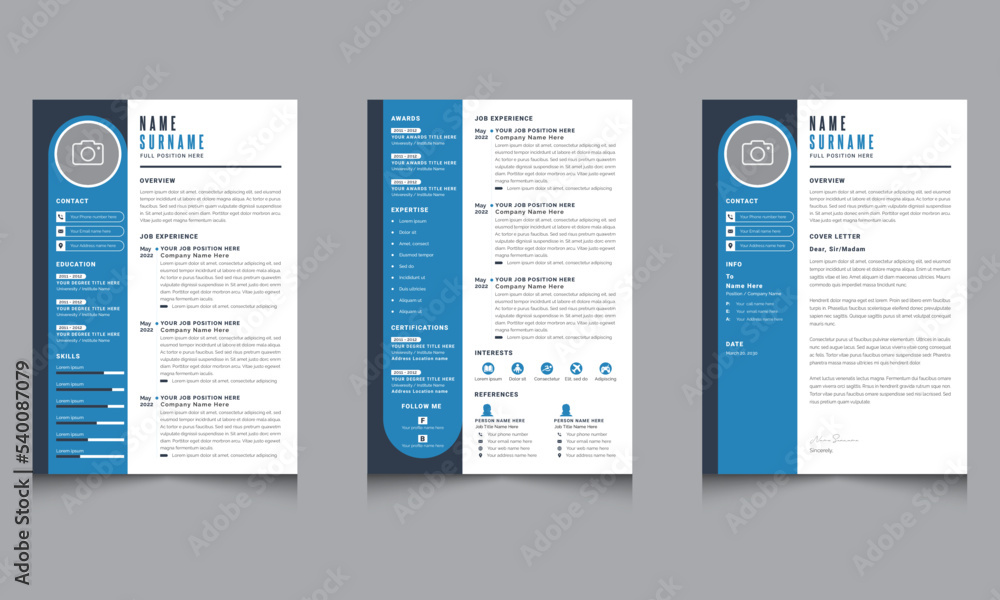 Infographic Professional Resume CV Template Layout Design Infographic Professional Resume CV Template Layout Design