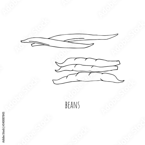 Mediterranean diet foods black and white sketch bean pods isolated on white background 