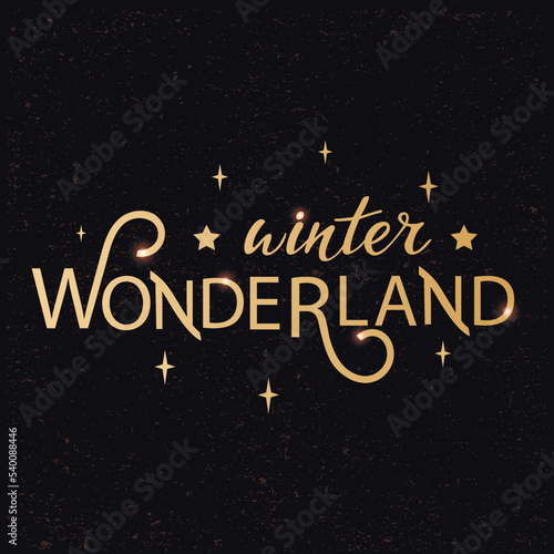 Winter wonderland vector hand lettering. Golden letters with stars on the textured gold dust black background. Typography for winter holidays. Vector illustration, style calligraphy. Wintertime. Card