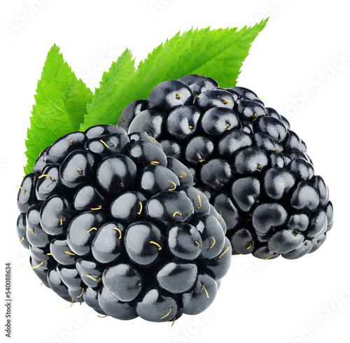 Two fresh blackberries with leaf cut out photo