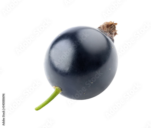 Foto One black currant berry cut out
