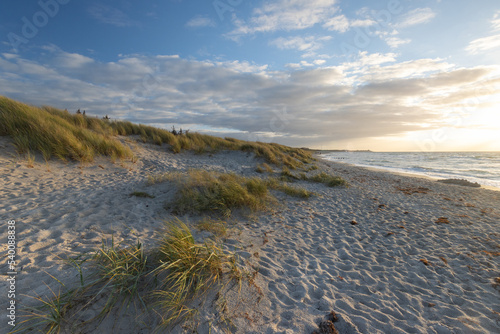 Sch  ne D  nenlandschaft mit Strandhafer und feinem Sandstrand mit Blick Richtung Ahrenshoop.