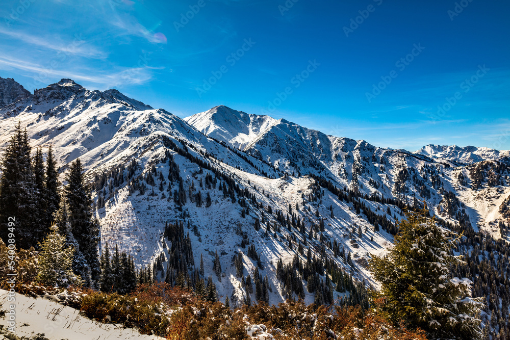 snow covered mountains in winter snow covered mountains in winter