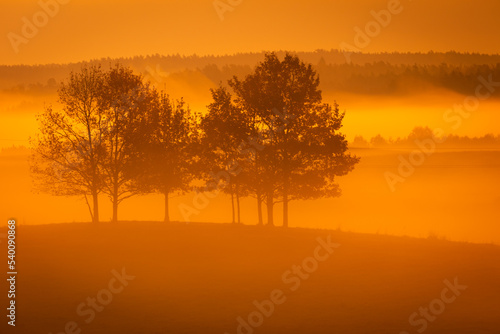 October landscape sunset - amazing misty foggy morning in autumn season  beautiful trees with colorful leaves  Poland  Europe  Podlasie Knyszyn Primeval Forest