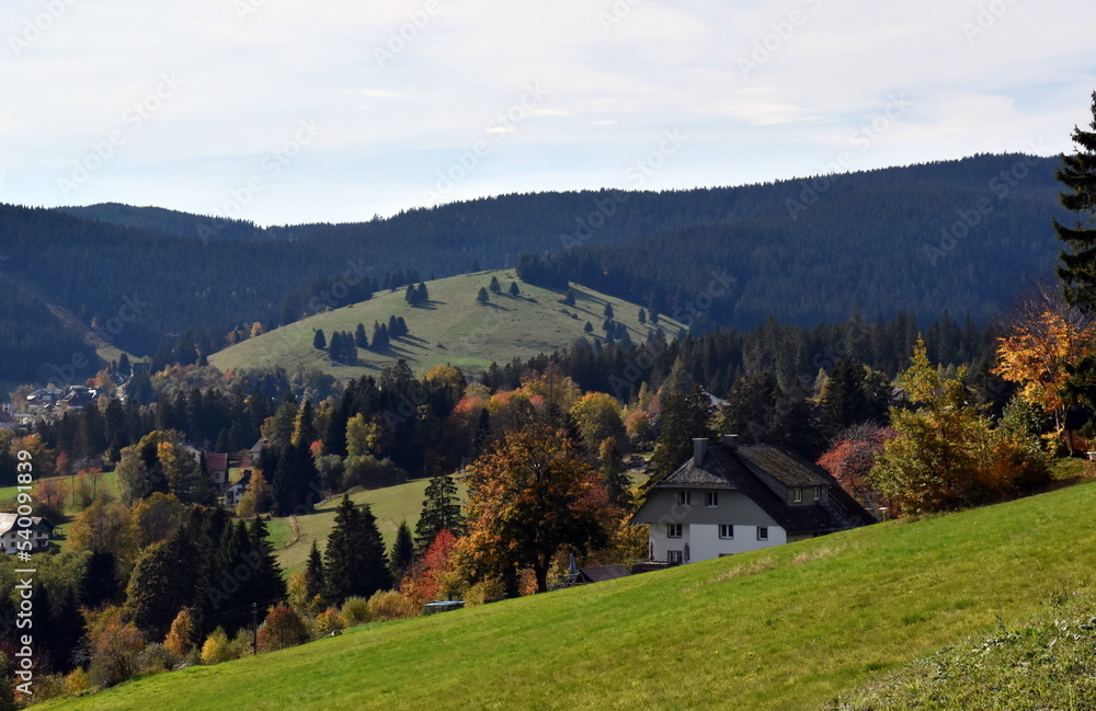 Falkau im Schwarzwald im Herbst Falkau im Schwarzwald im Herbst