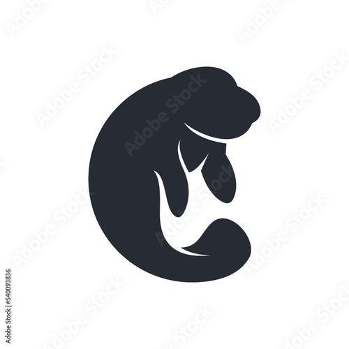 Walrus icon. cute simple animal walrus for logo