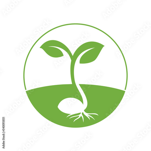 logo design for plant nursery, organic farming, christian organization. Tiny mustard plant emerging from seed.