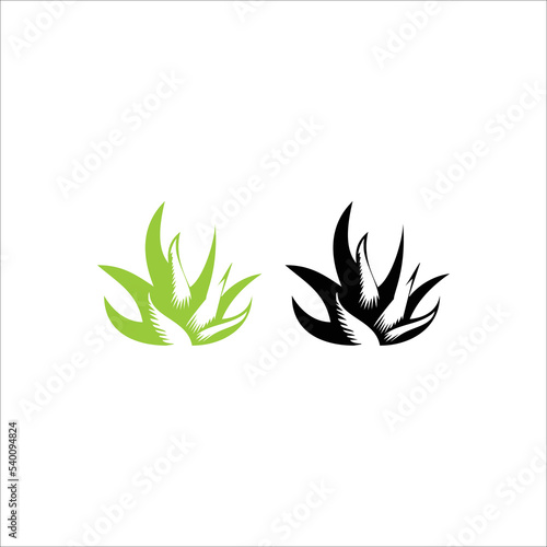 Herb, grass, aloe vera , plant ,logo, symbol, icon, graphic, vector.