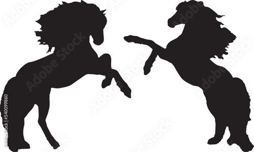 silhouette two horses standing