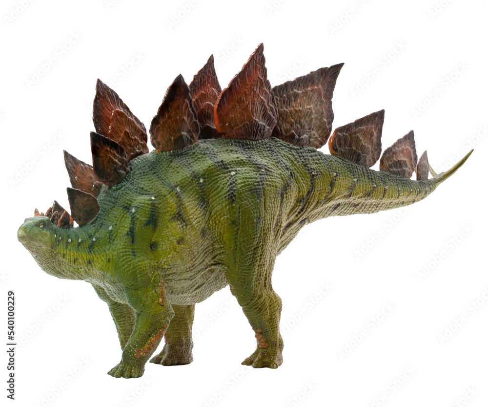 Obraz premium Dinosaur Stegosaurus figure on a transparent background png